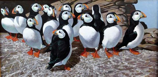 § Keith Shackleton (1923-2015) Puffins on the Great Smith: Isles of Scilly 17.5 x 36in.